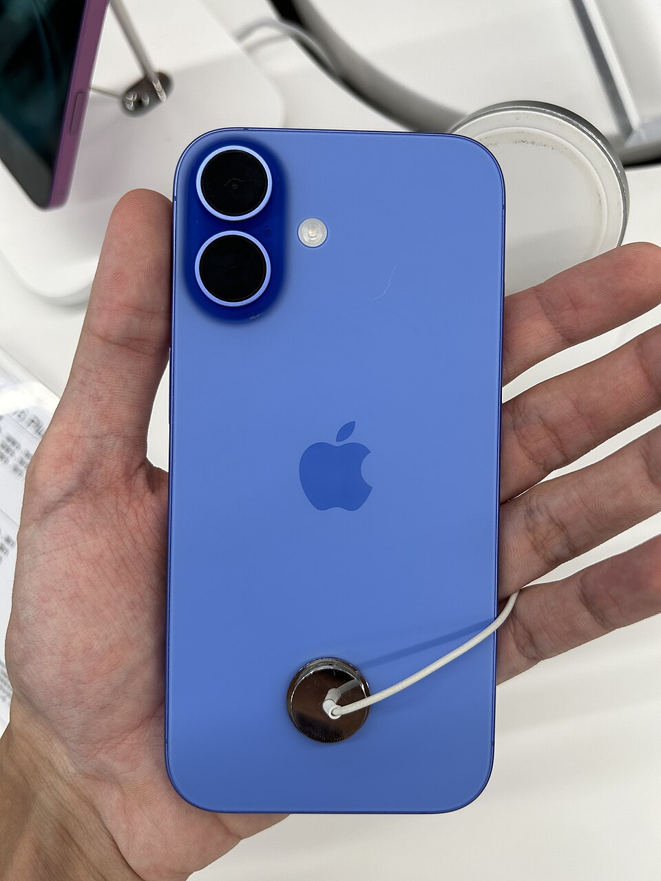 Задняя панель iPhone 16 с одним блоком камеры — дизайн, близкий к iPhone 16e